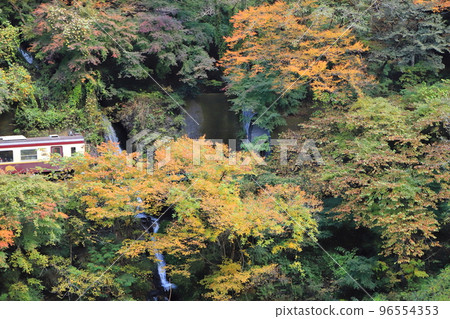 渡良瀨溪谷鐵道“深山瀑布與隧道景觀” 渡良瀨溪谷鐵道“深山瀑布與隧道景觀” 96554353