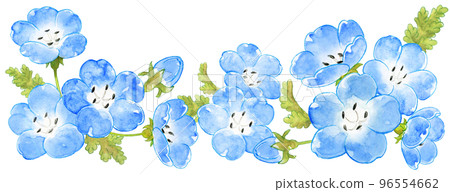 Spring blue nemophila watercolor horizontal line 96554662