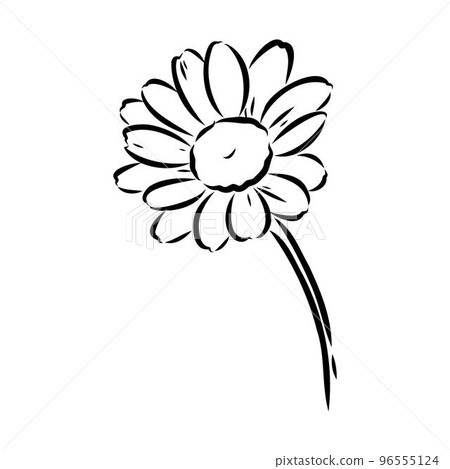 Daisy flower line art drawing. Vector hand drawn engraved illustration. Wild Chamomile black ink sketch. Wild botanical garden bloom. Great for tea packaging, label, icon, greeting cards, decor Daisy flower line art drawing. Vector hand drawn engraved illustration. Wild Chamomile black ink sketch. Wild botanical garden bloom. Great for tea packaging, label, icon, greeting cards, decor 96555124