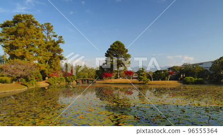 津山市集樂園(深秋)3 津山市集樂園(深秋)3 96555364