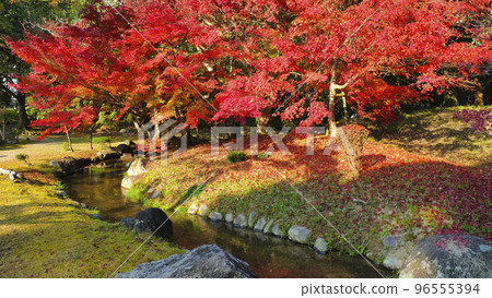 津山市集樂園（深秋）10 96555394