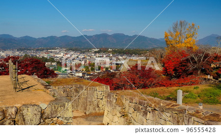 Tsuyama Castle Ruins (Late Autumn) 2 96555428