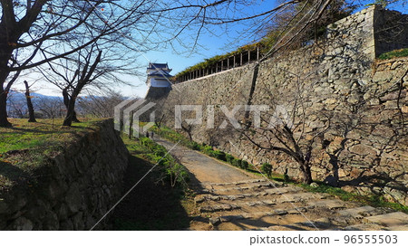 Tsuyama Castle Ruins (Late Autumn) 15 96555503