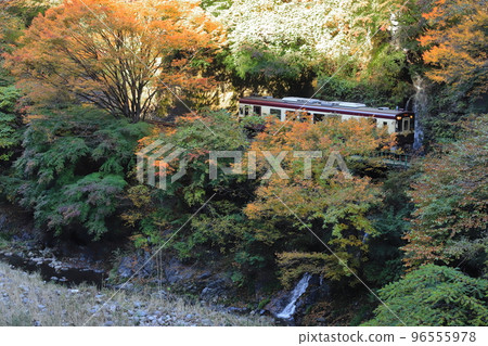 渡良瀨溪谷鐵道“穿越深山瀑布的鐵橋上行駛的火車” 96555978