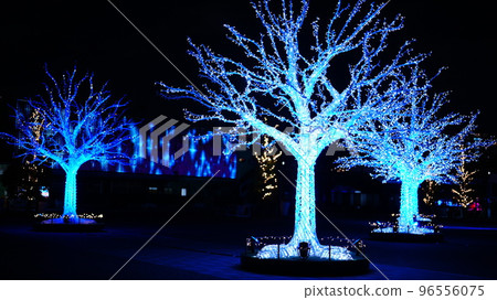 Enjoy the fantastic aurora forest at Tokyo Mega Illumination 96556075