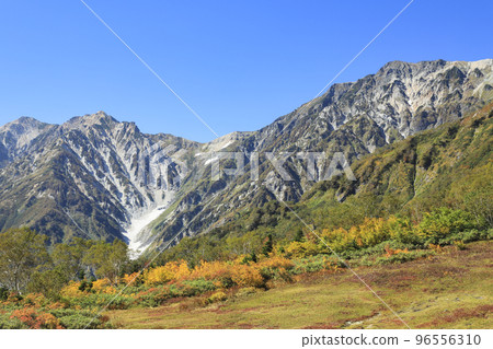 Tsugaike Nature Park with a view of the Hakuba mountain range, a treasure trove of nature 96556310