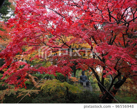 秋葉在京都 秋葉在京都 96556948