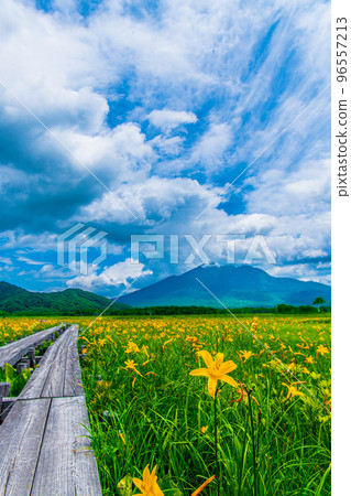 Oze的視圖 96557213