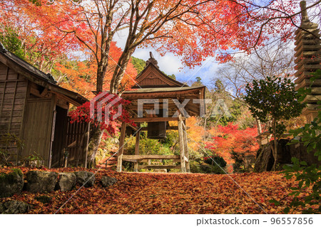 紅葉最美的天開山太雲寺 96557856