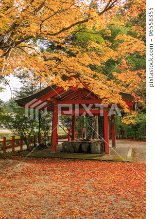 Kitabatake Shrine and Kitabatake House Ruins Garden in full bloom of autumn leaves 96558355