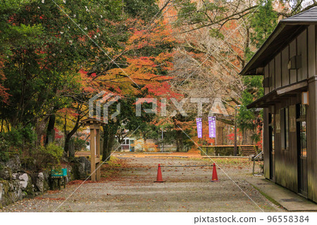 Kitabatake Shrine and Kitabatake House Ruins Garden in full bloom of autumn leaves Kitabatake Shrine and Kitabatake House Ruins Garden in full bloom of autumn leaves 96558384