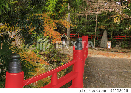 Kitabatake Shrine and Kitabatake House Ruins Garden in full bloom of autumn leaves 96558406
