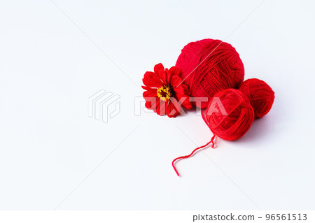 A red ball of thread and a tsinia flower on a green background for knitting red cozy warm things A red ball of thread and a tsinia flower on a green background for knitting red cozy warm things 96561513