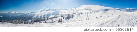 Beautiful winter panorama with fresh powder snow. Landscape with spruce trees, blue sky with sun light and high Carpathian mountains on background Beautiful winter panorama with fresh powder snow. Landscape with spruce trees, blue sky with sun light and high Carpathian mountains on background 96561614