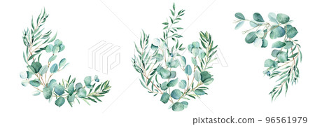 Watercolor bouquets set. Eucalyptus, pistachio and olive branches. Hand drawn botanical illustration isolated on white background. Can be used for greeting cards, wedding and baby shower nvitations 96561979