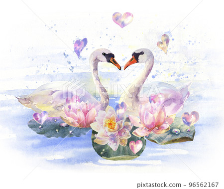 Watercolor illustration water lilies and white swansolated on blue water background wish soap bubbles in the form of hearts, valentine's day. 96562167