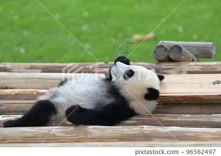 Relaxing on the playground equipment Yuihama 96562497