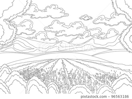 Lavender field landscape in coloring style. Hand drawn flowers, growing and blooming scene, meadow with mountains, floating clouds. Background with serenity nature landscape with plants 96563186