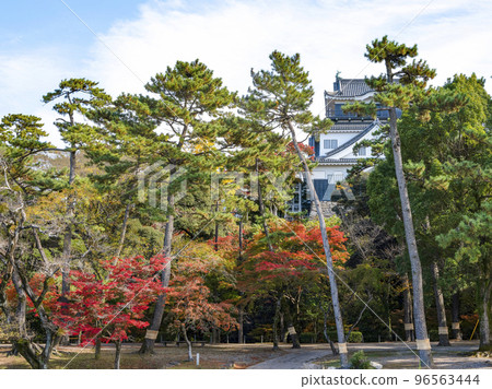 Okazaki Castle (Aichi Prefecture, late November) Okazaki Castle (Aichi Prefecture, late November) 96563444