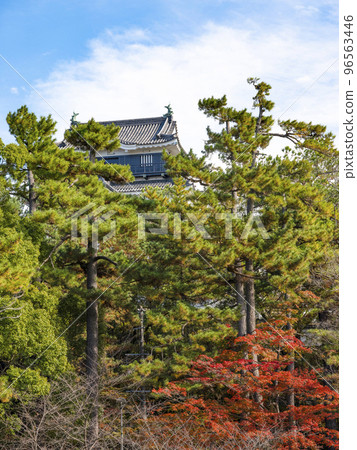 Okazaki Castle (Aichi Prefecture, late November) Okazaki Castle (Aichi Prefecture, late November) 96563446
