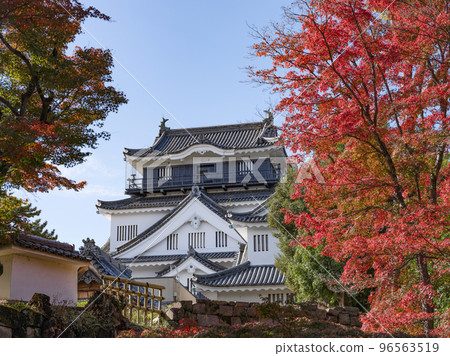 Okazaki Castle (Aichi Prefecture, late November) Okazaki Castle (Aichi Prefecture, late November) 96563519