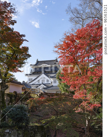 Okazaki Castle (Aichi Prefecture, late November) 96563521