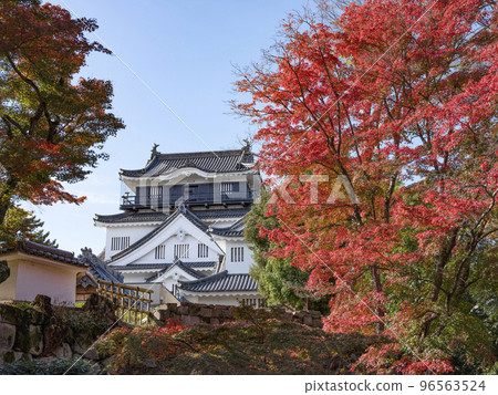 Okazaki Castle (Aichi Prefecture, late November) Okazaki Castle (Aichi Prefecture, late November) 96563524