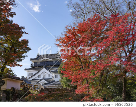 Okazaki Castle (Aichi Prefecture, late November) Okazaki Castle (Aichi Prefecture, late November) 96563526