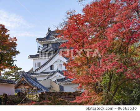 岡崎城（愛知縣，11 月下旬） 96563530
