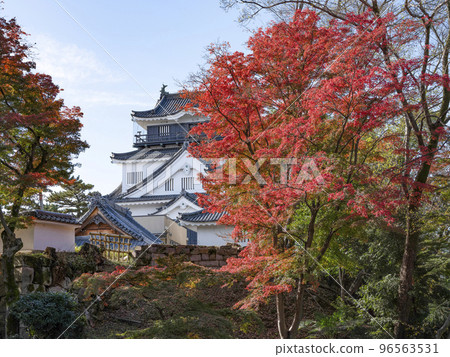 岡崎城(愛知縣,11 月下旬) 岡崎城(愛知縣,11 月下旬) 96563531