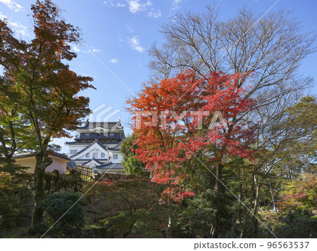 Okazaki Castle (Aichi Prefecture, late November) Okazaki Castle (Aichi Prefecture, late November) 96563537