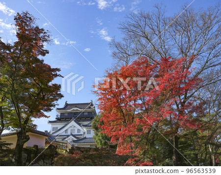 Okazaki Castle (Aichi Prefecture, late November) Okazaki Castle (Aichi Prefecture, late November) 96563539