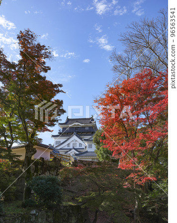 Okazaki Castle (Aichi Prefecture, late November) Okazaki Castle (Aichi Prefecture, late November) 96563541