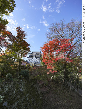 Okazaki Castle (Aichi Prefecture, late November) Okazaki Castle (Aichi Prefecture, late November) 96563543