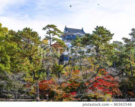 Okazaki Castle (Aichi Prefecture, late November) Okazaki Castle (Aichi Prefecture, late November) 96563546