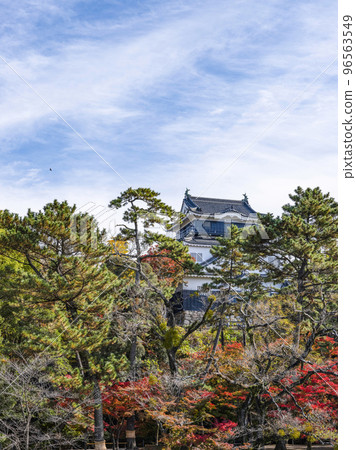 Okazaki Castle (Aichi Prefecture, late November) Okazaki Castle (Aichi Prefecture, late November) 96563549