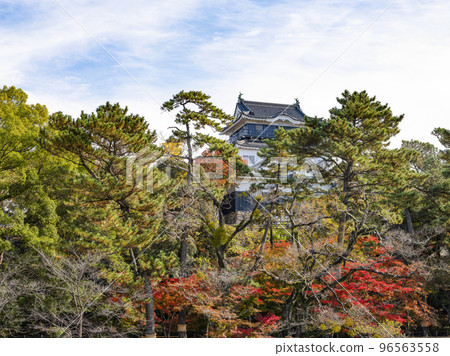 Okazaki Castle (Aichi Prefecture, late November) Okazaki Castle (Aichi Prefecture, late November) 96563558
