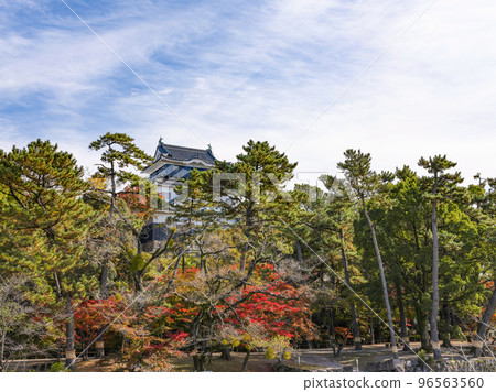 Okazaki Castle (Aichi Prefecture, late November) Okazaki Castle (Aichi Prefecture, late November) 96563560