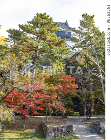Okazaki Castle (Aichi Prefecture, late November) Okazaki Castle (Aichi Prefecture, late November) 96563561