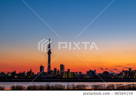 "Tokyo" Tokyo Skytree under construction viewed from the Arakawa riverbed at dusk 96564159