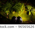 Put your feet together at Moss Temple and feel the fresh greenery 96565626
