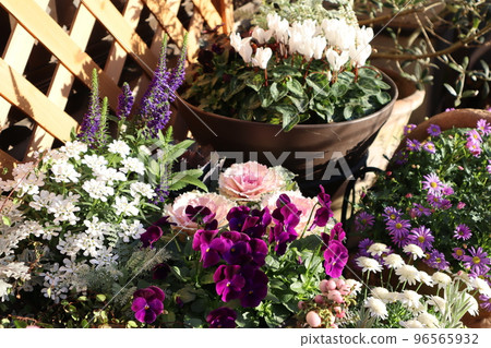 群栽花盆 96565932