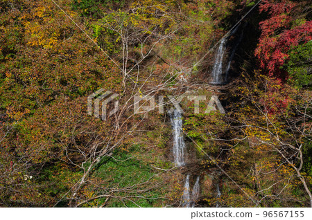 Takitsubozawa Falls Tanzawa in Autumn 96567155