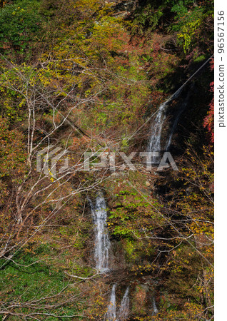 Takitsubozawa Falls Tanzawa in Autumn 96567156