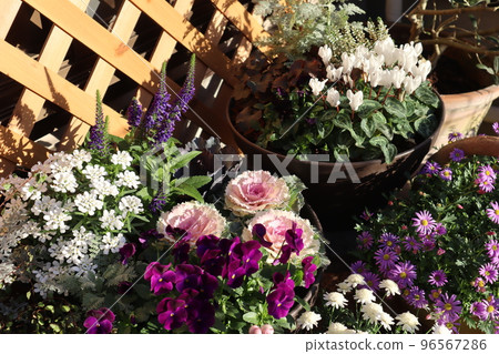 群栽花盆 96567286