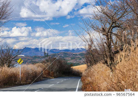 Mt. Myojin's pampas grass meadow Yamanakako Oyama Line 96567564