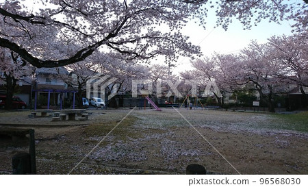 春天的公園 春天的公園 96568030