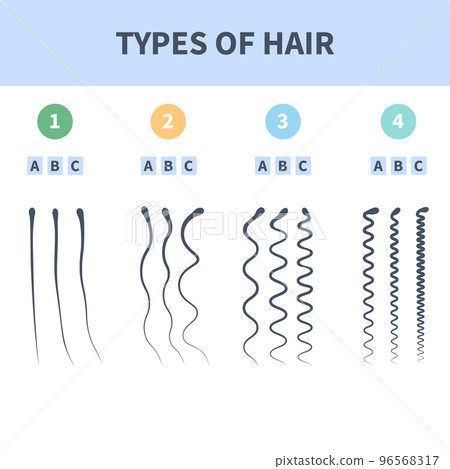 Hair types chart set of strands growth patterns Hair types chart set of strands growth patterns 96568317