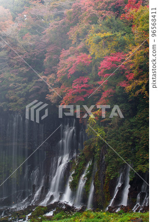 Shiraito Falls [Shizuoka Prefecture] 96568411
