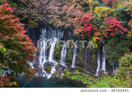 Shiraito Falls [Shizuoka Prefecture] 96568465